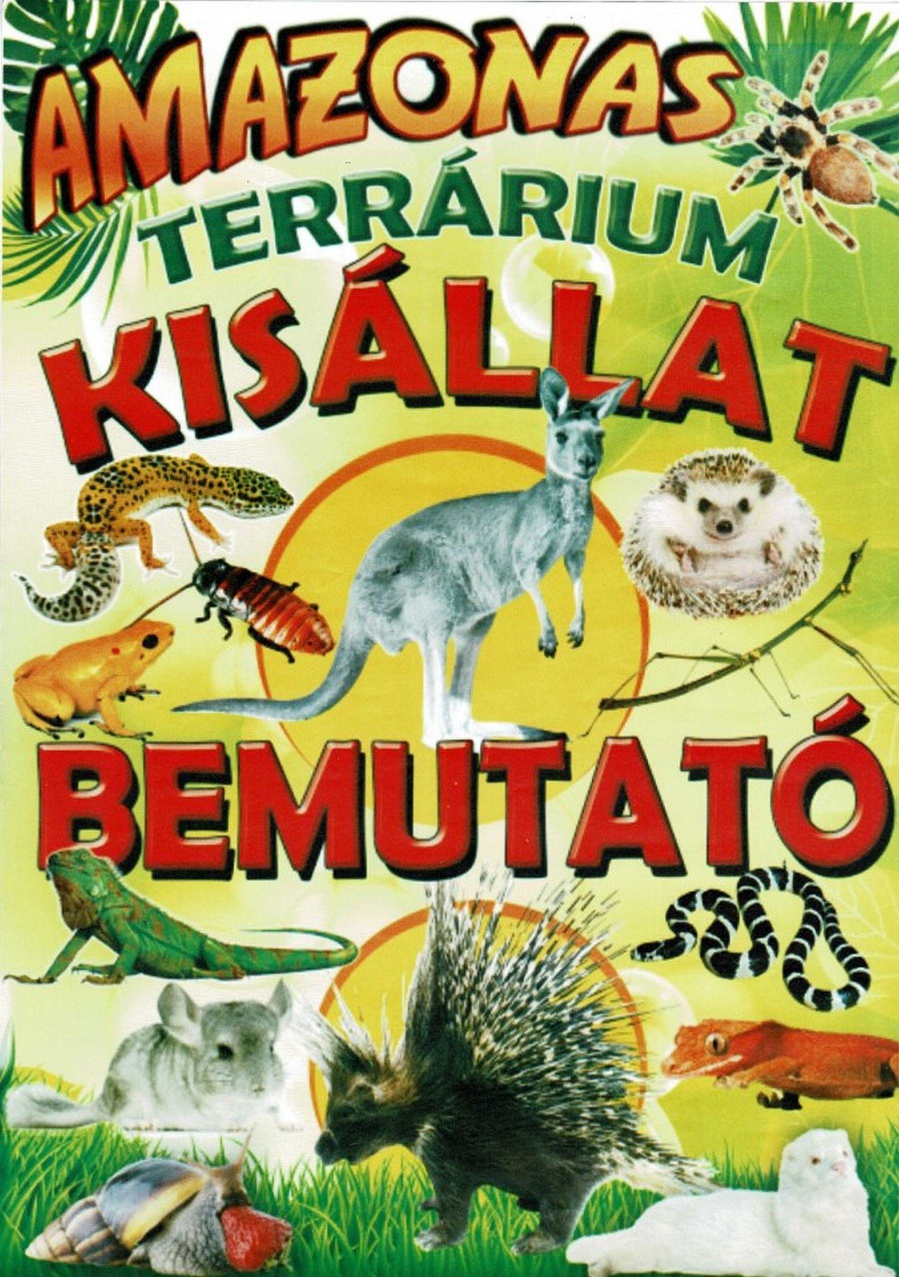 Amazonas Terrárium - kisállat bemutató szombaton a Köfém Művelődési Házban